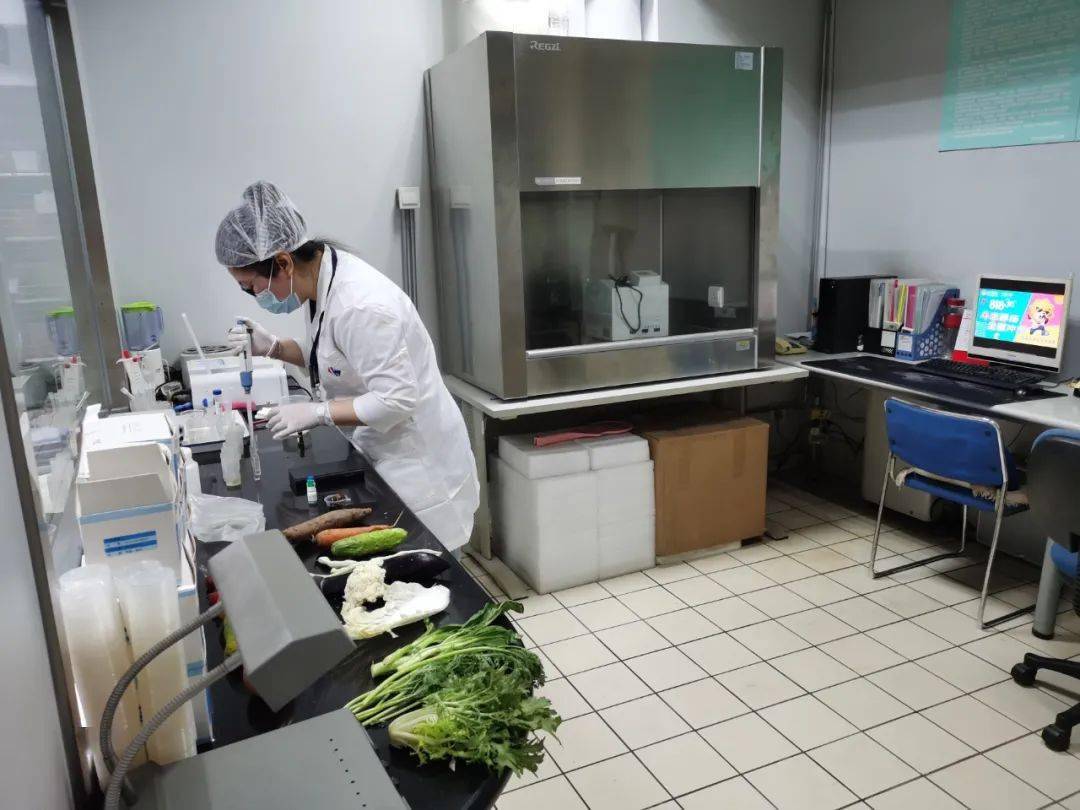 大埔食品检测实验室装修方案